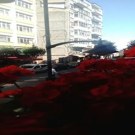 Roncalli Apartamento *