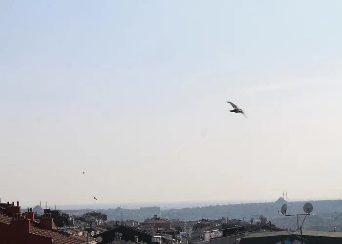 Roncalli Provincia di Istanbul