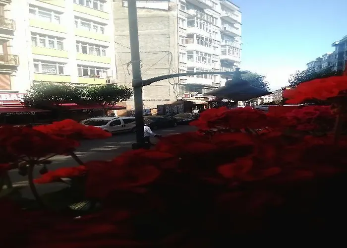 Roncalli Appartement *